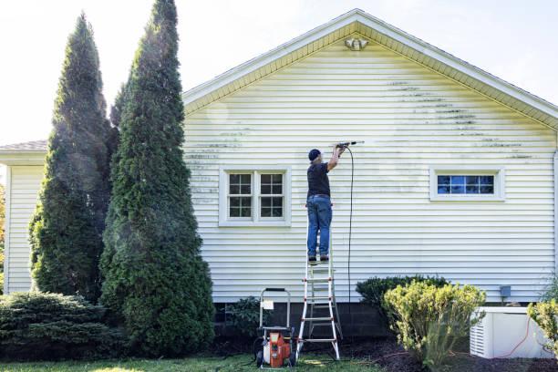 Best Driveway Pressure Washing  in Hobart, WI